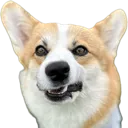 yukisnarl yukisnarl