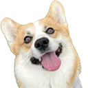 yukihappy