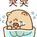 Wsob