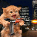 rambocat Discord Emoji