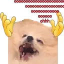 dbaboooohhhhhhhhhhhhh
