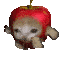 Catapplerun Discord Emoji