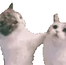 kissahomie
