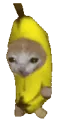 catbananarun