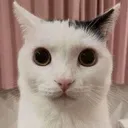 TheMolecule