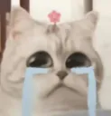 1_