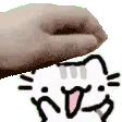 catpat