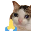cattopray Discord Emoji