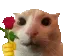 catRose