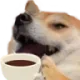 DogKekSip