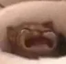 waaa