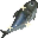 SardineHighQuality