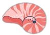 00nautilus Discord emoji