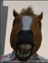 Horse