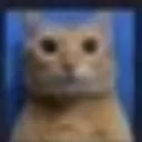 mewhen