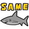 same