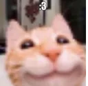 g_3