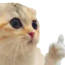 fuku