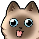 CyanDerp