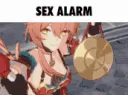 SEGZALARM
