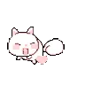 angelKittenspin