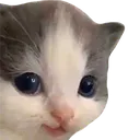kemperhehe
