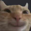 catheheheyes