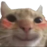 CatSmile