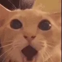 emoji_13