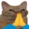 pray_cat