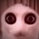 stare