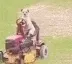 DawgOnTheRidinLawnmower