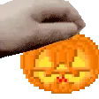 PETTHEPUMPKIN