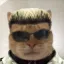 AlbertWhisker