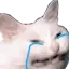 __ __