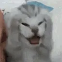 AAAAAA