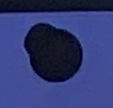 simon Discord emoji