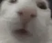 NoFuckingWay