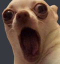 chihuahua_ahh custom emote | 老司機吃魚喝茶哈拉打屁討論區