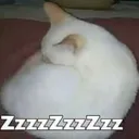 MS_catzzzzzzzz Discord Emoji