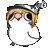 birbmaxwellwink birbmaxwellwink