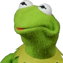 seriouskermit