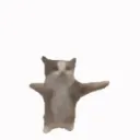 catyippie