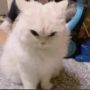 gr