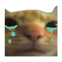cat_cry