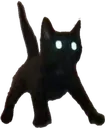 spookycat