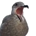 emoji_488