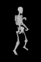 dancedanceskeleton
