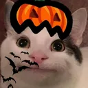 beluween
