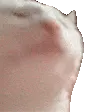 BOEMBOEMBOEMKAT